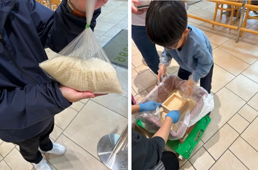 千葉県産ブランド米の枡すくいイベント