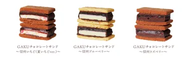 3種のベリーチョコサンド