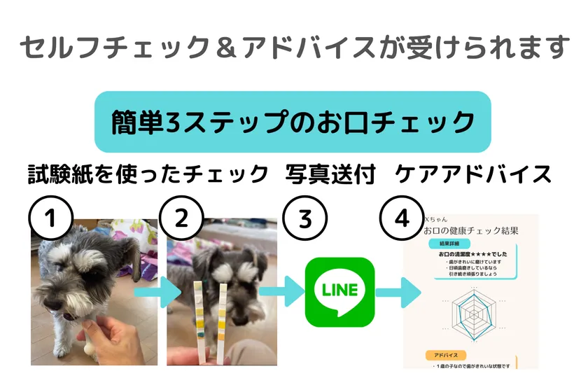 お口の健康チェックキット使い方