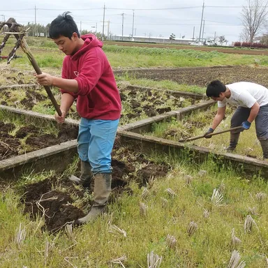 日本農業実践学園　実習風景3