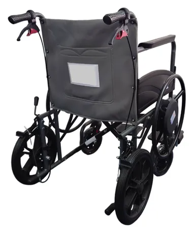 後方からの画像