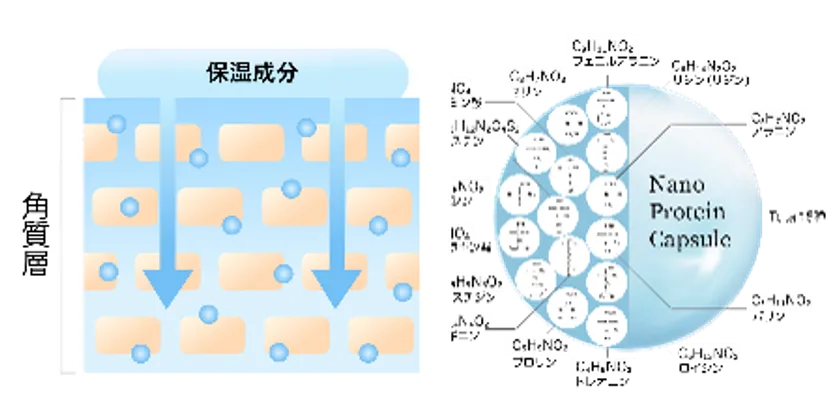 乾燥肌へのアプローチ