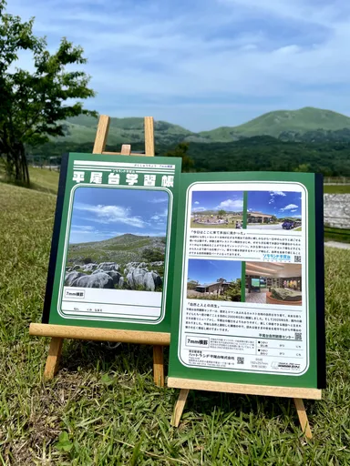 子どもから大人まで使いやすい