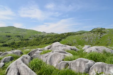 日本有数のカルスト台地「平尾台」