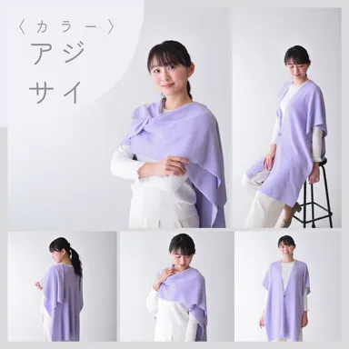 カラー：アジサイ