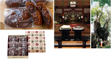 黒麦まんじゅう／来宮神社 樹齢2,000年を超える大楠