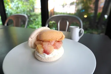 ペッシュメルバ