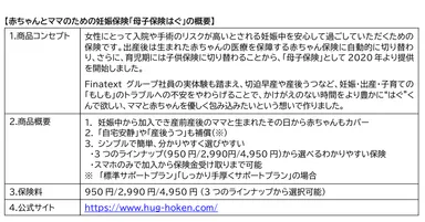 「母子保険はぐ」の概要