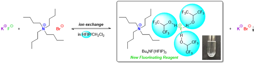 図_新規フッ素化剤として期待されるBu4NF(HFIP)3の簡便合成法