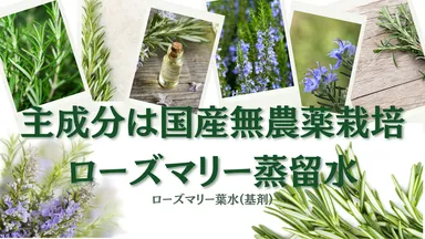 無農薬ローズマリー主成分