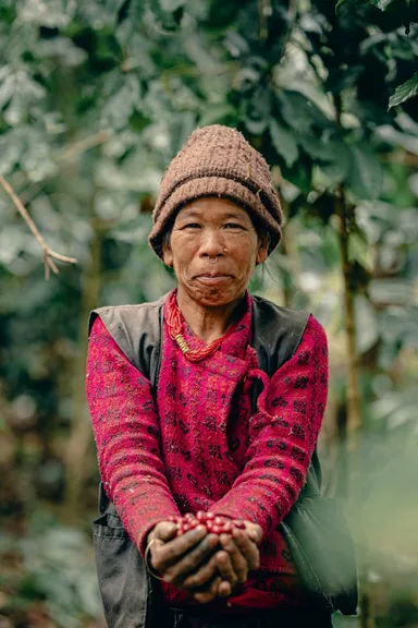 生産者の収穫風景(2)