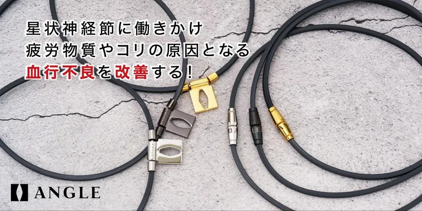 ANGLE(アングル)_今後の展開