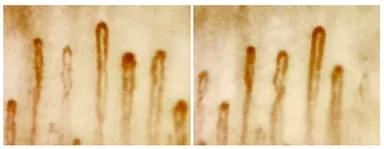 左：着用前　右：着用後