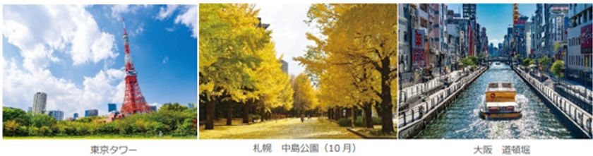 「夏＆秋たびセール」で国内”個人旅行”を応援
全国41空港発着 航空機利用編
6月4日（水）深夜0時受付スタート（ウェブ限定）