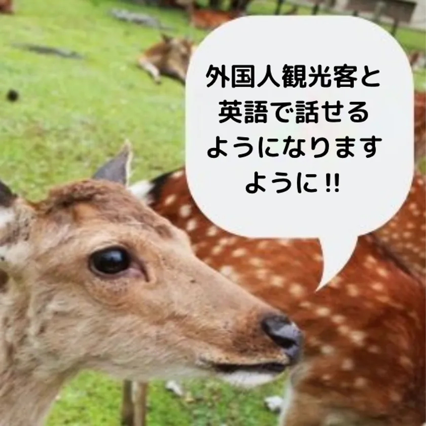 夢を語ろう