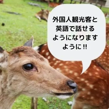夢を語ろう