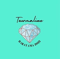 チーム「トルマリン」(任意団体ブルーデージー運営事務局)