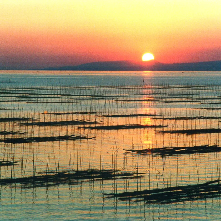 有明海　河内塩屋の風景