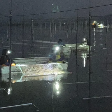 夜中に作業をされる海苔漁師の方々