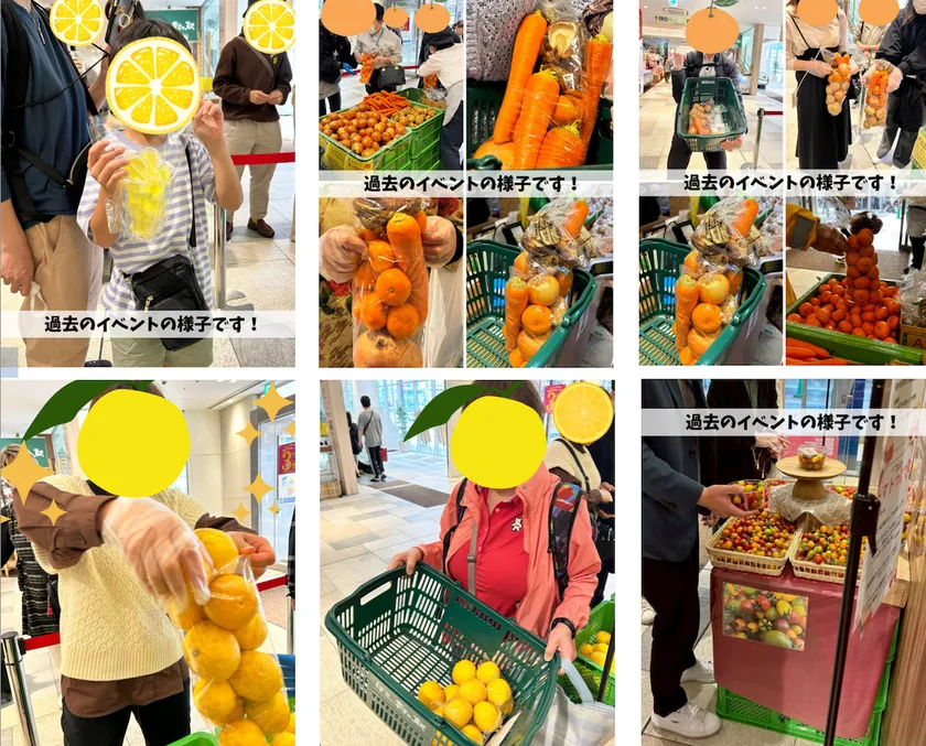 お野菜やフルーツの詰め放題イベントを開催中！