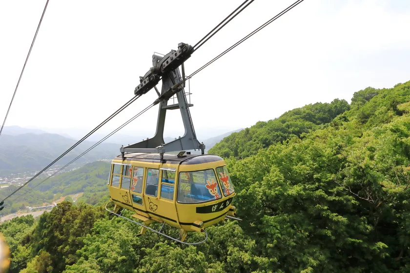 宝登山ロープウェイ イメージ