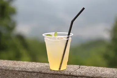 ホドエード　イメージ