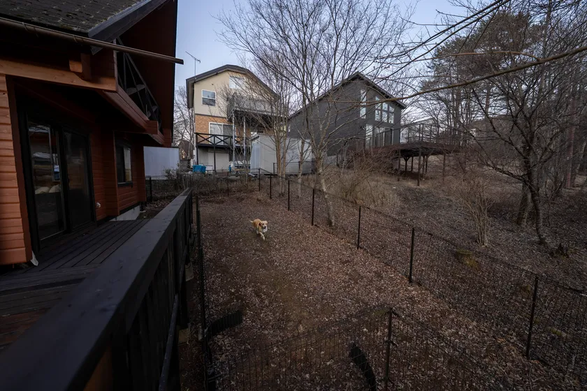 専用のドッグラン完備