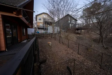 専用のドッグラン完備