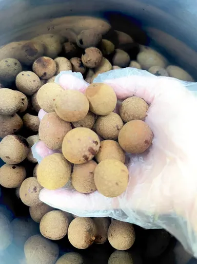 製品イメージ13