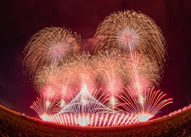 山崎煙火製造所の花火2