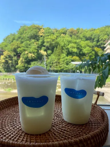 ヨーグルトホエイサイダーフロート