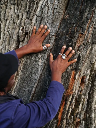 タイユーとワイナリー