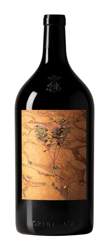 ダブルマグナム・ボトル(3L)