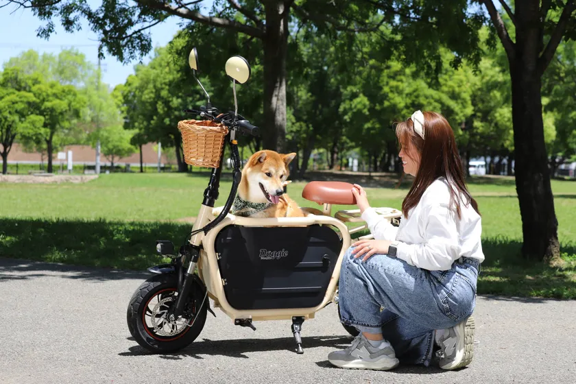 愛犬とお出かけ1