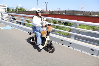 愛犬とお出かけ3