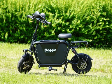 マットブラック4