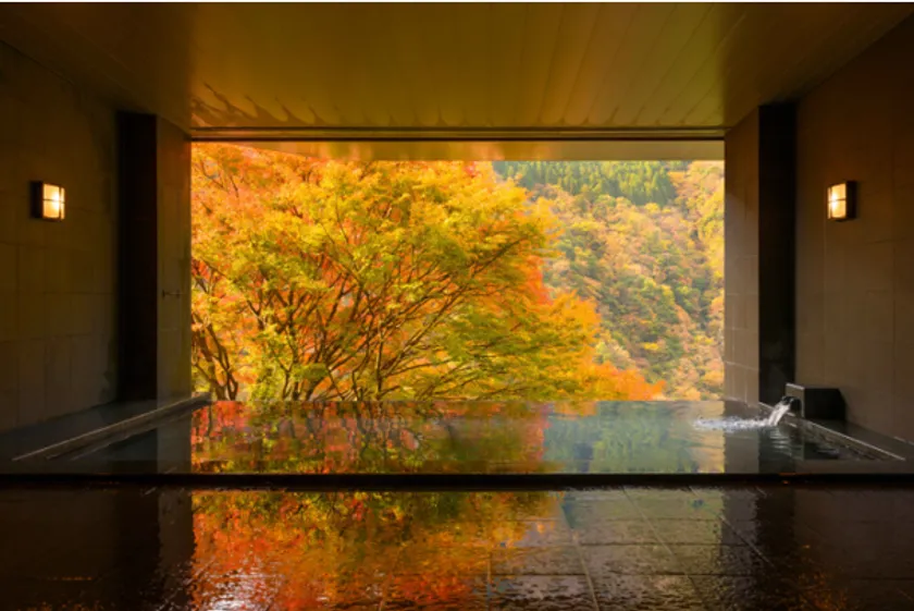 【和の宿 ホテル祖谷温泉】 徳島県 祖谷温泉