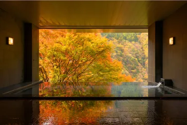 【和の宿 ホテル祖谷温泉】 徳島県 祖谷温泉