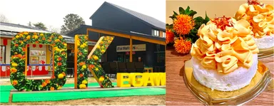 (左)OKモニュメント／(右)べに花ミルクパンケーキサンド