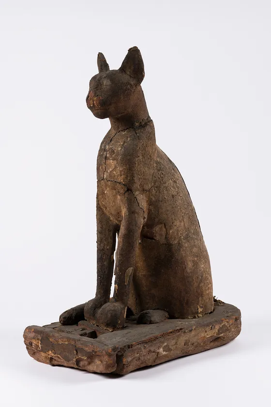 《ネコの棺とミイラ》前664~前332年 ブルックリン博物館蔵 Photo:Brooklyn Museum