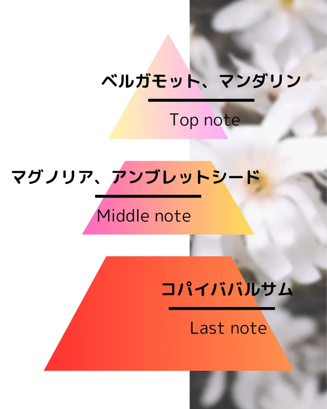 ▲マグノリア