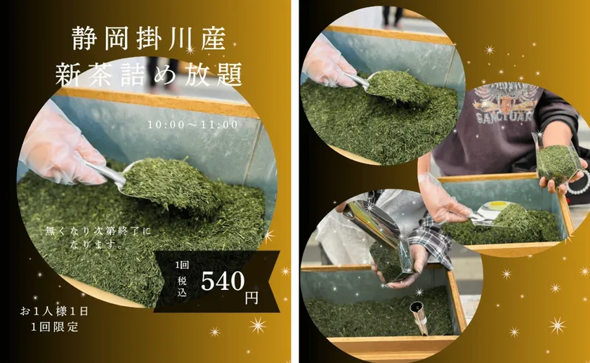 静岡県掛川産の荒茶仕立て深蒸し茶 詰め放題