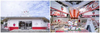 いちごBonBonBERRY伊豆の国factory