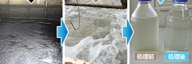処理前・処理後