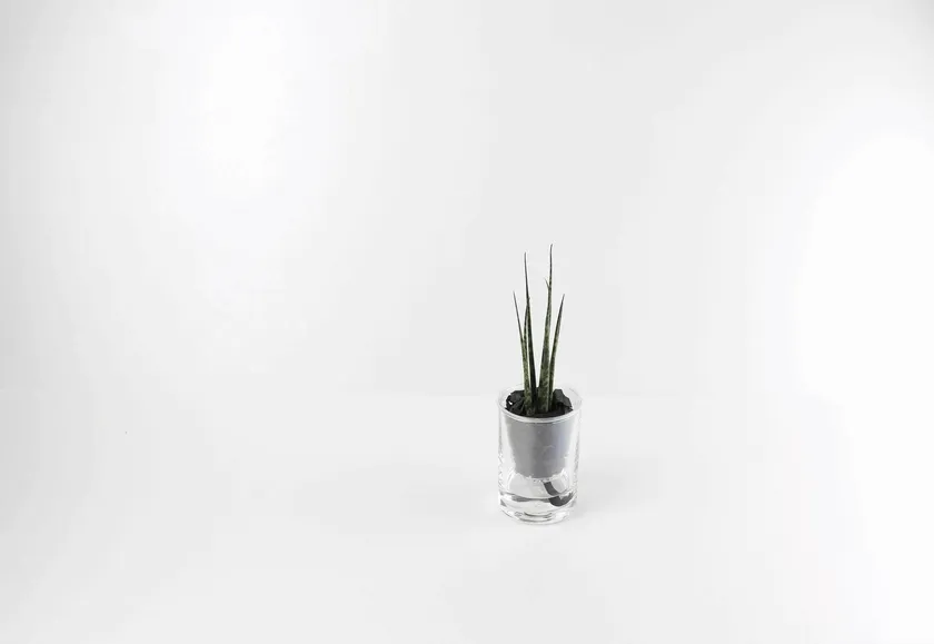 通常パッケージとギフトパッケージ