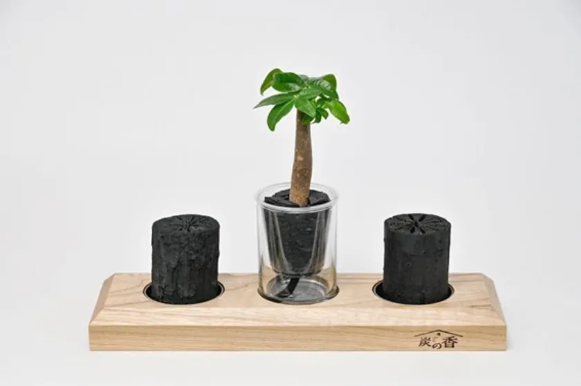 台座と炭2個セット