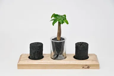 台座と炭2個セット