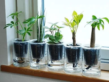 並び立つ姿はとても瑞々しい