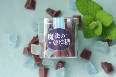 チョコ×ミント　商品本体2