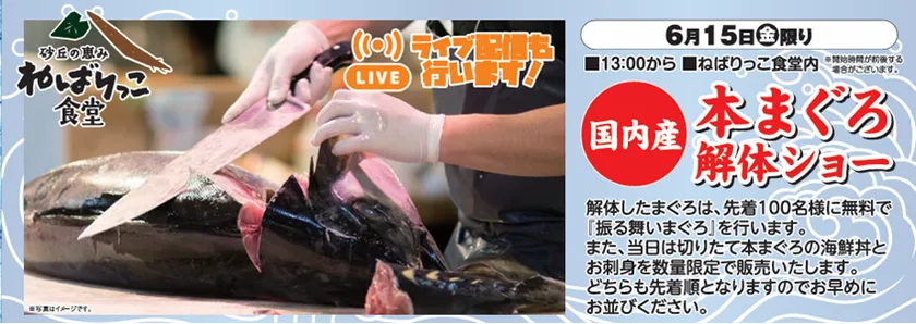 本マグロの解体ショー